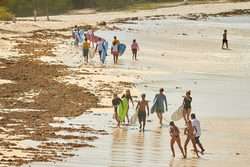 imagen de Surf Lessons_2