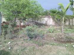 imagen de Oportunidad de inversion_2