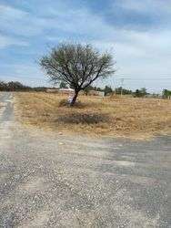 imagen de TERRENO CAMPESTRE LEON_2