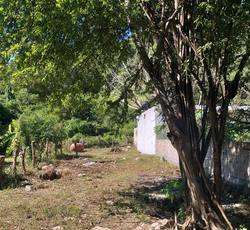 imagen de Excelente oportunidad Terreno cerca de Playa_2