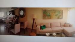 imagen de LOS CIPRESES_2