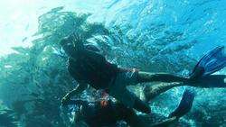 imagen de ACTIVIDADES DEL RESORT_2