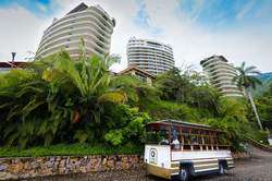 imagen de VIVE PUERTO VALLARTA_2