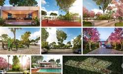 imagen de Invierte en Merida en un lote residencial_2