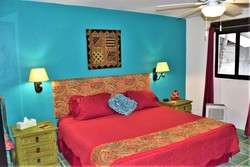 imagen de DEPARTAMENTO EN VENTA EN PUERTO VALLARTA _2