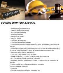 imagen de JUICIOS EN MATERIA ADMINISTRATIVA Y LABORAL_2