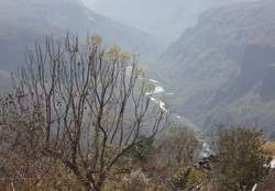 imagen de Terreno La Coronilla, Zapopan, Jalisco_2