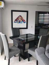 imagen de RENTA DE DEPARTAMENTO_2