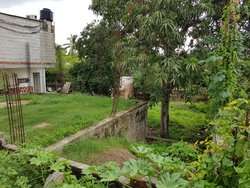 imagen de TERRENO EN VENTA EN MEZCALES!!!_2