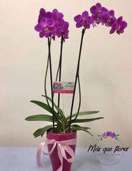 imagen de Arreglos florales_2