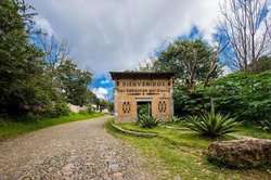 imagen de Terreno en San Sebastian del Oeste_2