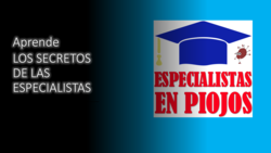 imagen de Aprende los SECRETOS de ESPECIALISTAS EN PIOJOS_2