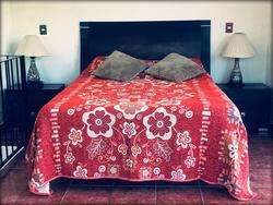 imagen de RENTA BUNGALOW _2