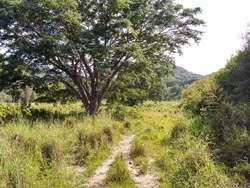 imagen de Terreno en venta en el Tuito, Jalisco._2