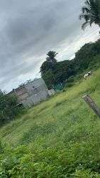 imagen de se vende terreno en puerto vallarta _2