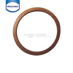 imagen de Juegos de reparacion para bombas rotativas VE_2