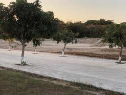 imagen de Terreno en Puerto Vallarta_2