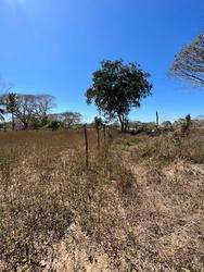 imagen de Terrenos en Paraíso las Flores 2,000 por m2_2