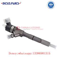 imagen de Inyector de combustible Diesel 0 445 110 307 _2