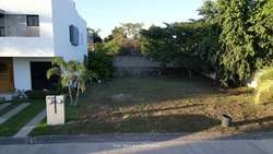 imagen de TERRENO EN VENTA EN FRACIONAMIENTO LA FRONDA_2