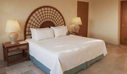 imagen de Suite King con Terraza_2