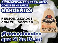 imagen de AROMATIZANTES PARA AUTO PERSONALIZADOS SI SE USAN_2