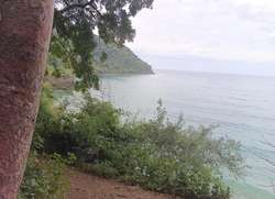 imagen de  terreno a 5 minutos de los ayalas Nayarit _2