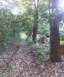 imagen de Venta de Fincas en todo el pais!_2