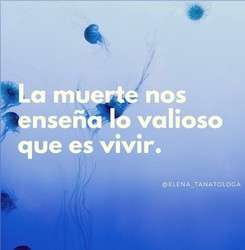 imagen de "Superar el duelo un paso a la vez"._2