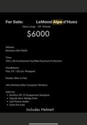 imagen de Lemond Alpe ‘d Huez / LeMond Road Bike_2