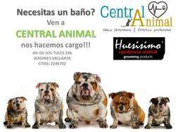 imagen de MIERCOLES DE PROMOCION EN CENTRAL ANIMAL_3