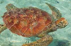 imagen de Atracciones Cercanas _3