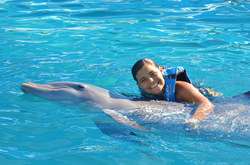 imagen de Nada con Delfines _3