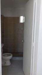 imagen de VERDE VALLARTA_3