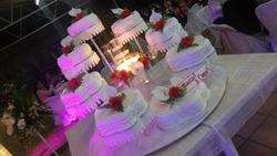imagen de Pastel de boda_3