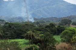 imagen de Terrenos Campestres para Cabanas_3