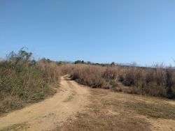 imagen de vendo terreno en tomatlan jalisco_3