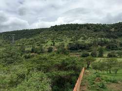 imagen de VENTA DE TERRENO EN RIO TAPALPA_3