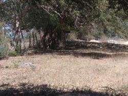 imagen de VENTA TERRENO EN IXTAPA PUERTO VALLARTA_3