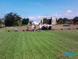 imagen de PASTO EN ROLLO y tierra de jardin en cuernavaca_3