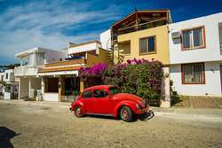 imagen de Terralta 1 Cedro 141_3