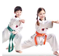 imagen de Taekwondo_3