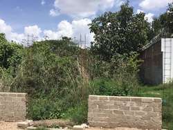 imagen de Terrenos Frente Al Bosque Del Nixticuil_3