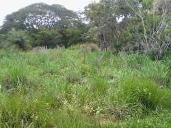 imagen de Terreno Gavilanes 2_3