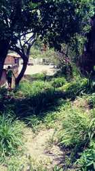 imagen de Terreno Centro de Vallarta _3