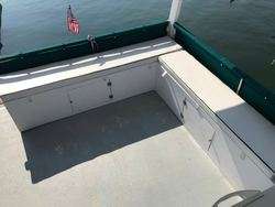 imagen de Catch your dinner!_3