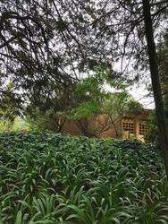 imagen de HERMOSA Y SEGURA RESIDENCIA EN CDMX_3