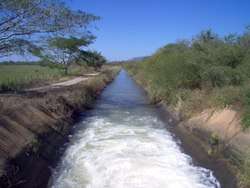 imagen de Terreno 11 Hectareas_3