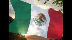 imagen de TRADUCTOR: INGLES, FRANCES, ALEMAN, DANES, ETC.  _3