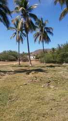 imagen de Terreno de Playa super economico_3